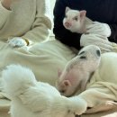 광안테마거리 | 부산 | 광안리갈만한곳 광안리데이트 세븐테마카페 본점 내돈내산