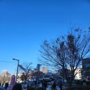 고스트블랙 | [연남동 맛집] 다양한 바베큐를 먹을 수 있는 고스트블랙 연남 내돈내산 후기