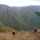 차마고도 이미지