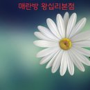 복돼지짬뽕 | 왕십리역 중식 맛집 매란방 왕십리 본점에 다녀온 후기