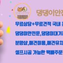 낭만 Dog 이미지