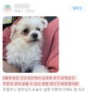 백두산동물병원