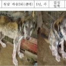 마송2리 이미지