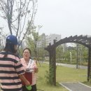 (주)수요일 이미지