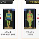 바이오포톤 네이버블로그