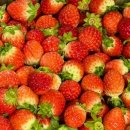 송학로 | 벌써 2월의 끝자락 / 2026년을 잘 보내고 있나요?