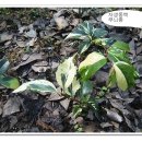 신정농장 이미지