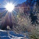 은혜동산 이미지