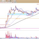 피앤씨 소프트 이미지