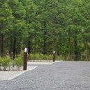 장태산자연휴양림 캠핑장 이미지