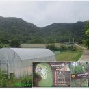 마비정 누리길 이미지