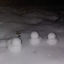 탐나오리 이미지