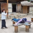 나비카센타 이미지