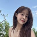 다올붙임머리