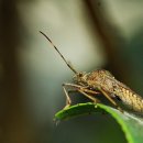 부천자연생태박물관 이미지