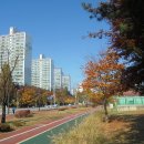 숲길 이미지