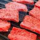 레오목장 2 이미지