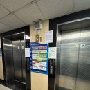 월남슈퍼 | 성남 남위례역 맛집 다담샤브샤브 N번간 단골 후기