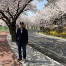 정정태농장 이미지