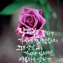 아름다운수채캘리 이미지