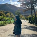 명돌캠프 | 가을에 캠핑하기 좋은 충북 충주 캠핑장 추천 명돌학교캠프펜션 스토리