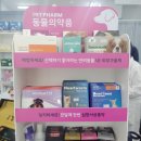 안락온누리약국 이미지