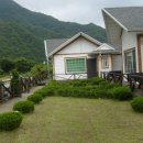 고요한아침 강가 이미지