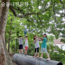 숲들내캠핑장 이미지