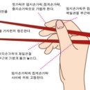 텀블랜드 이미지