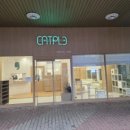 캣플코지눅 시화점 이미지