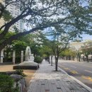 부동산박사공인중개사사무소 이미지