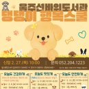 모두의 댕댕이 이미지