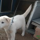 학송보건진료소 이미지