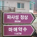 파사성 소나무 | 여주 가볼만한곳 파사성 여주 여행지