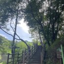 수락산 | 의정부 수락산 도정봉 산행 후기