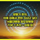 빛고을응급환자이송센터 | 암말기 환자, 이제 집에서 편히 지내고 싶다 – 서울대병원 암요양병원 TOP 3 추천 + 입원 팁