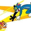 톰과제리 이미지