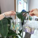 투명 지비츠 비누공예 | 용인·화성·동탄 비누공방 에브리솝 - ✨보석비누 만들기 원데이클래스 후기