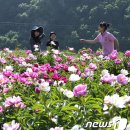 ▶자연과 생활 (2015/05월/3째주) 이미지