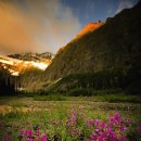 조경기능사 이미지