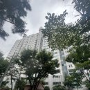 면목동-111 이미지
