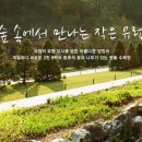 337숯불가든 이미지