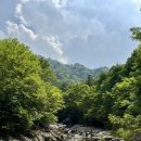 제54차 정기산행 (오대산 선제길 - 상원사, 월정사) 이미지