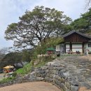 [부여군 태조산 정각사] 본존불은 어디에 계시는지...