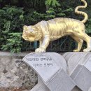 오늘 꿩먹고 알먹고-일타쌍피 했어요~~~ 이미지