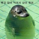 루반도르 이미지
