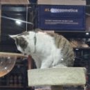 현대버블버블세차장 이미지