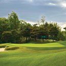 킹스데일 골프클럽 이미지