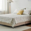 스프레드 이미지