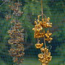 하모해수욕장 이미지